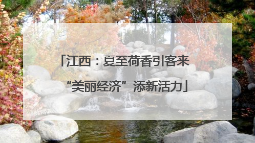 江西：夏至荷香引客来 “美丽经济”添新活力